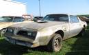 Sterling Silver 77 Trans Am