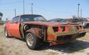 79 Special Order Gold Irid Trans Am
